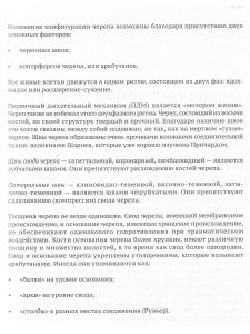 Краниосакральная архитектура