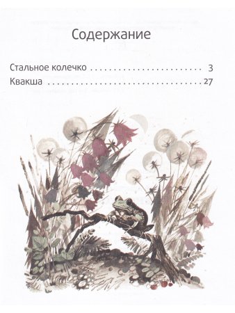 Стальное колечко