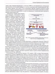 Основы бариатрической  медицины: практическое  руководство