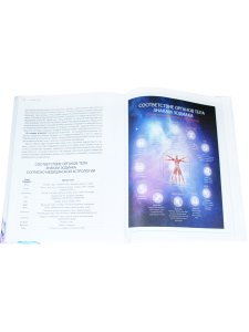 Медицинские теории в инфографике