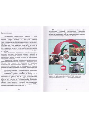 Макаров В.В, Василевич Ф.И. Блютанг и блютангоподобные инфекции
