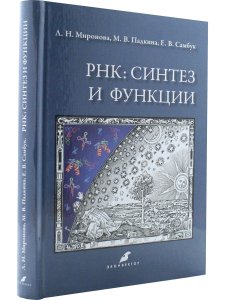 Миронова Л.Н., Падкина М.В., Самбук Е.В. РНК: синтез и функции