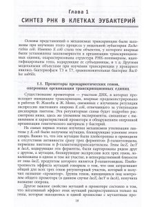 Миронова Л.Н., Падкина М.В., Самбук Е.В. РНК: синтез и функции