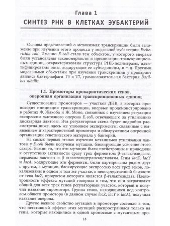 Миронова Л.Н., Падкина М.В., Самбук Е.В. РНК: синтез и функции