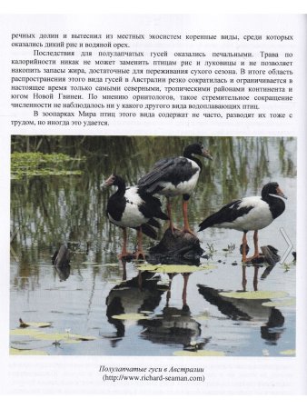 Остапенко В.А., Бессарабов Б.Ф. Водоплавающие птицы в природе, зоопарках и на фермах