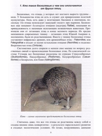 Спицин В.В, Остапенко В.А. Бескилевые птицы в зоопарках и питомниках