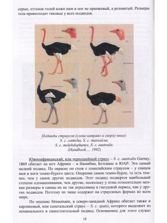 Спицин В.В, Остапенко В.А. Бескилевые птицы в зоопарках и питомниках