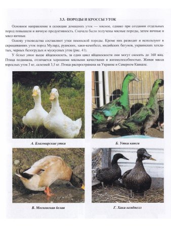Бессарабов Б.Ф, Кочиш И.И. Фермерское и приусадебное птицеводство