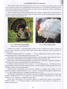 Бессарабов Б.Ф, Кочиш И.И. Фермерское и приусадебное птицеводство