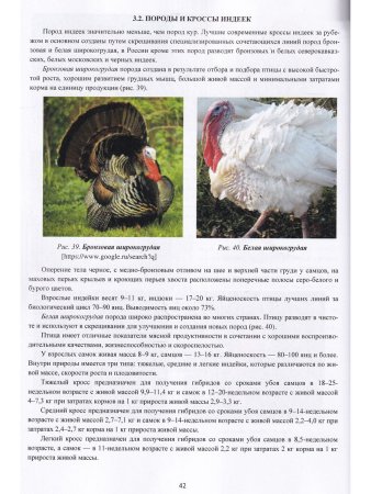 Бессарабов Б.Ф, Кочиш И.И. Фермерское и приусадебное птицеводство