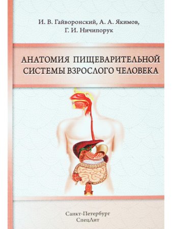 Анатомия пищеварительной системы взрослого человека