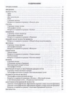 Анатомия пищеварительной системы взрослого человека
