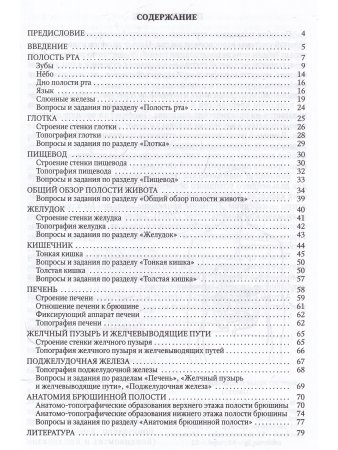 Анатомия пищеварительной системы взрослого человека