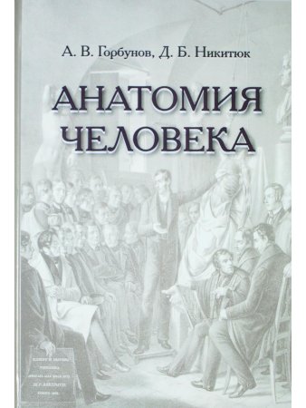 Анатомия человека