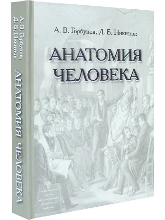 Анатомия человека