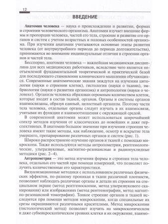 Анатомия человека