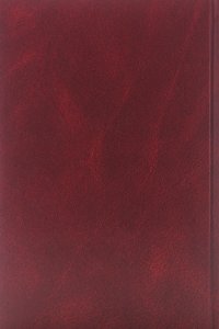 Петров А. Небесный огонь.Том 2