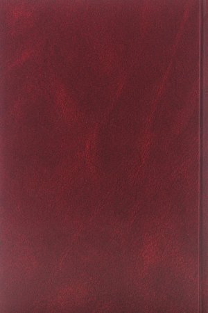 Петров А. Небесный огонь.Том 2