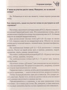 Все ответы на вопросы о вашем огороде