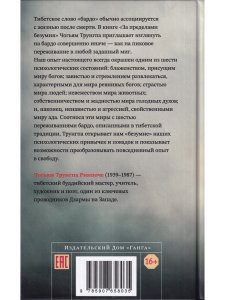 За пределами безумия. Опыт шести бардо