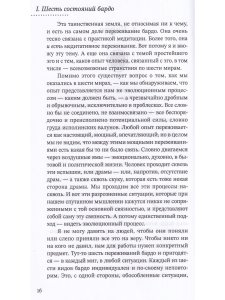 За пределами безумия. Опыт шести бардо