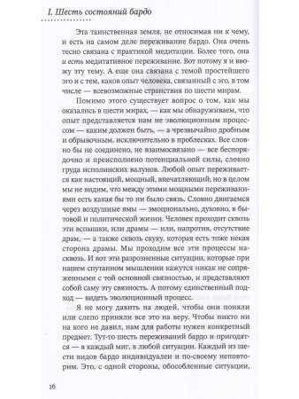 За пределами безумия. Опыт шести бардо