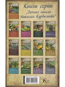 Курдюмов Н.И. Современный сад для тех, у кого нет времени