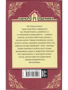 Виноград, малина, смородина, крыжовник и другие ягоды