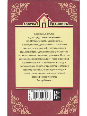 Виноград, малина, смородина, крыжовник и другие ягоды