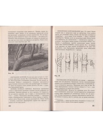 Курдюмов Н.И. Мой сад. Максимальный урожай легко и просто