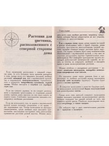 Мой ленивый цветник. Красота круглый год без лишних хлопот
