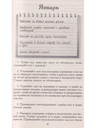 Шпаргалка садовода и огородника на весь год