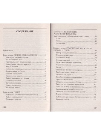 Фруктовый сад. Вишня, слива и яблоня
