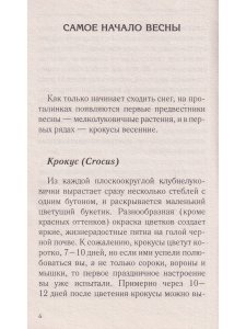 Красивый сад с весны до осени.