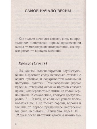 Красивый сад с весны до осени.