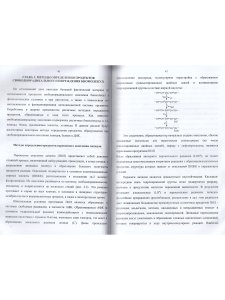 Практикум по  свободнорадикальному  окислению