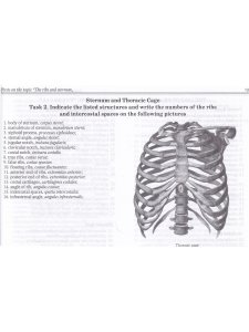 Anatomy of Bone System: Students Workbook / Анатомия костной системы. Рабочая тетрадь