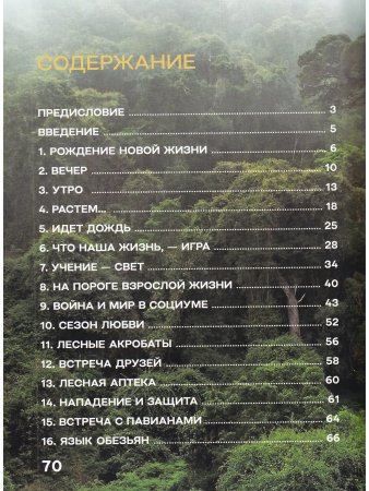 Жизнь и приключения шимпанзе в тропическом лесу