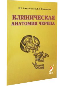 Клиническая анатомия черепа