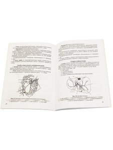 Сосуды и нервы внутренних органов. Учебное пособие. 9-е изд.