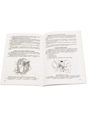 Сосуды и нервы внутренних органов. Учебное пособие. 9-е изд.
