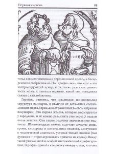 Разговор Души. Язык твоего тела