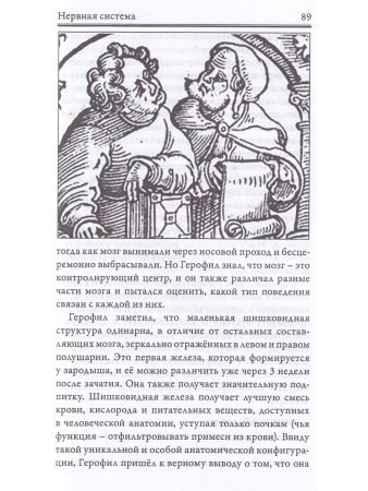 Разговор Души. Язык твоего тела