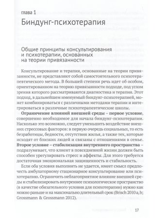 Бриш К. Биндунг-психотерапия: беременность и роды. Серия Консультирование и терапия, основанные на т