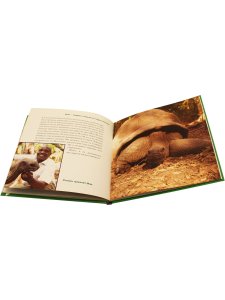 Хаткофф И., Хаткофф К. ОУЭН И МЗИ. Подлинная история удивительной дружбы.