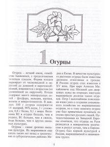 Огурцы и кабачки