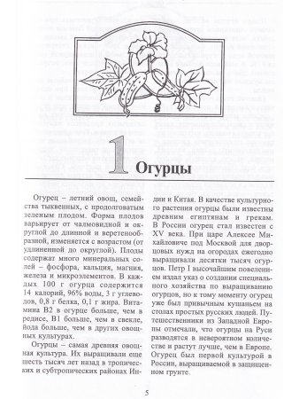 Огурцы и кабачки