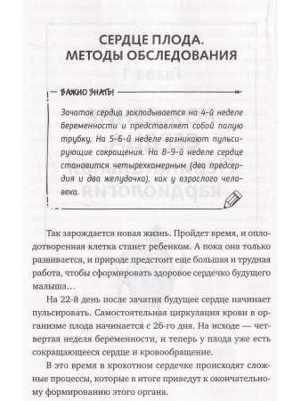 Доктор Сердце. Советы кардиолога