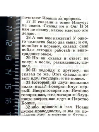 Библия 055zti код 24055-40 дизайн "золотой лев",
