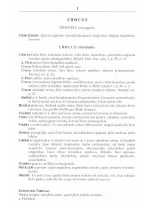 Centuria plantarum rariorum Russiae meridionalis Ф.К. Биберштейна глазами молодых исследователей "Си